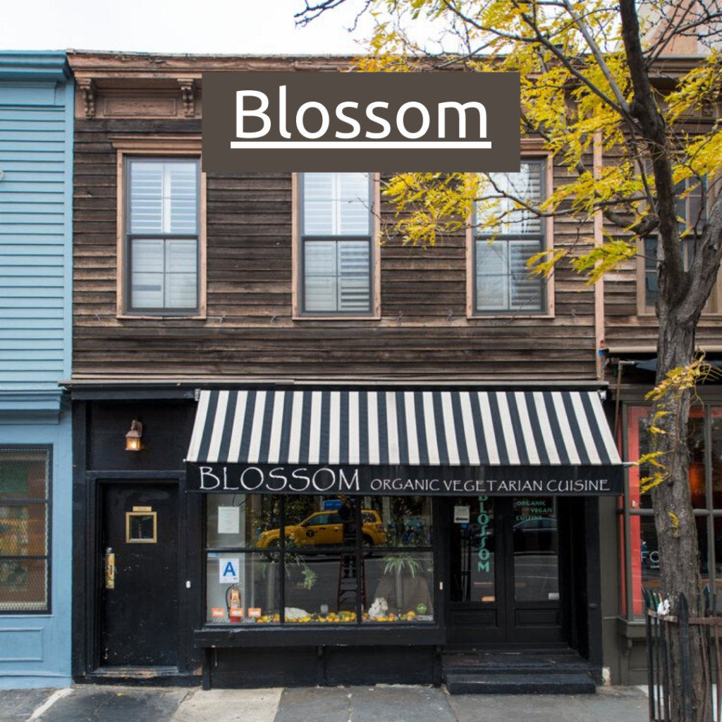 Blossom New York Vegan Restaurant - A Blog About Stuff