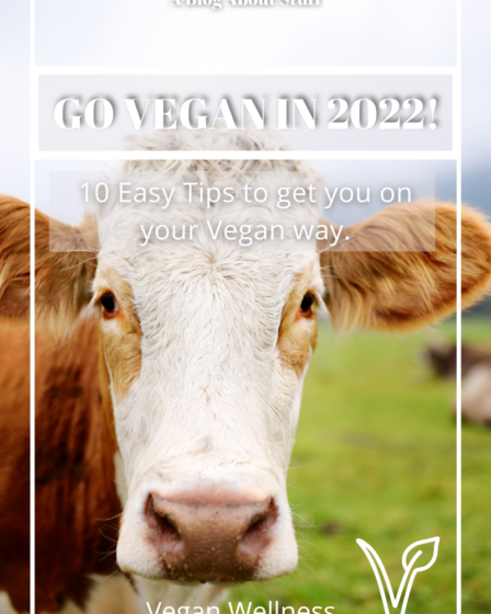 Go Vegan 2022 10 Easy Tips to Go Vegan Vegan Wellness A Blog About Stuff Pin Cow