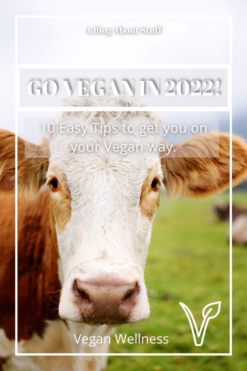 Go Vegan 2022 10 Easy Tips to Go Vegan Vegan Wellness A Blog About Stuff Pin Cow