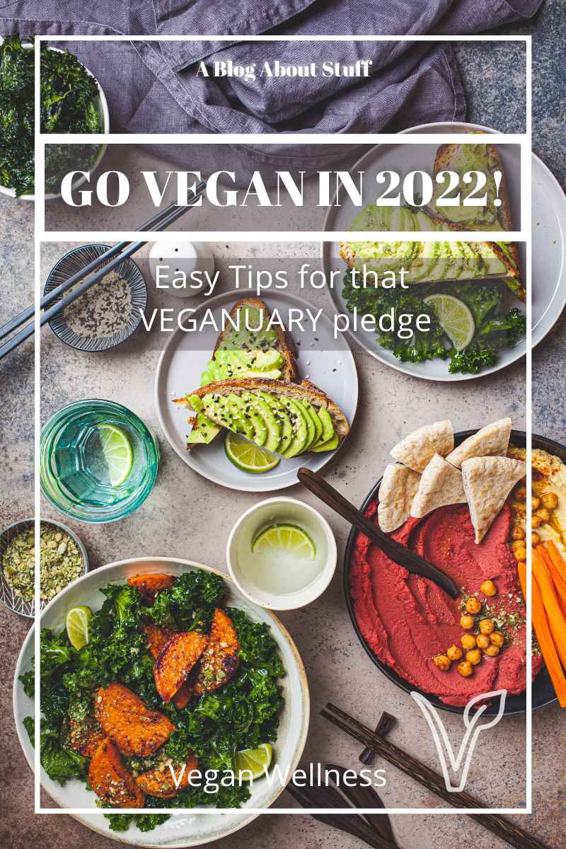 How to go vegan in 2022 & Veganuary A Blog About Stuff Pin WFPB 2