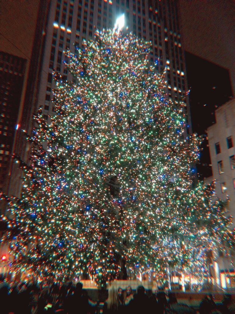 averyveganxmasinnycvegantravelablogaboutstuffbigtree