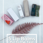 Vegan lip balms – Vegan Beauty/Skincare Review