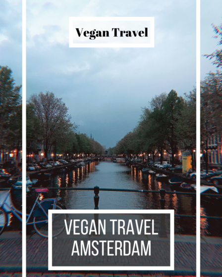 Vegan travel amsterdam vegan restaurant vegan food a blog about stuff bike