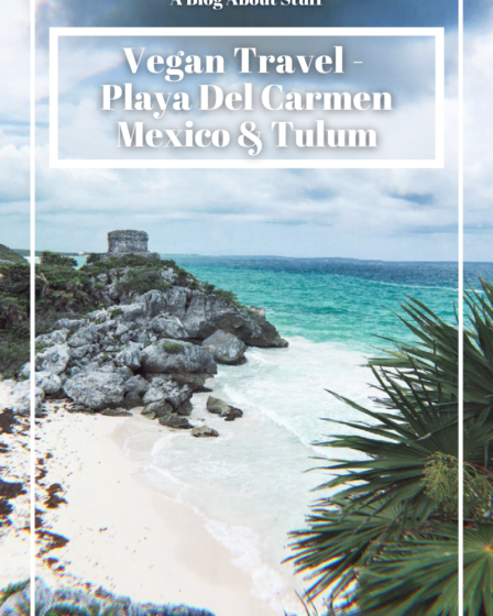Vegan Travel Playa Del Carmen Mexico Tulum A Blog About Stuff Vegan Restaurants