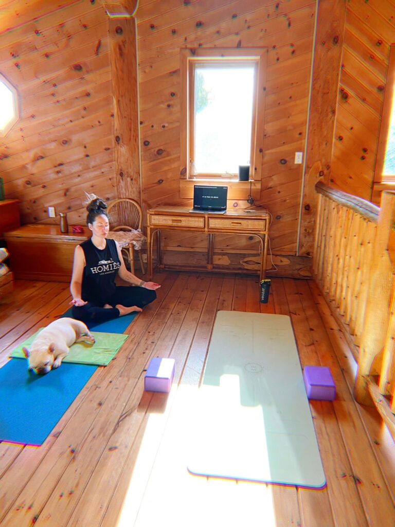 Bruce Peninsula Vegan Travel Cabin Retreat Yoga
