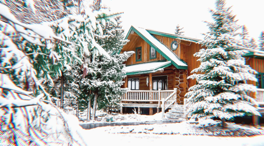 Snowy Cabin Vegan Travel A Blog About Stuff