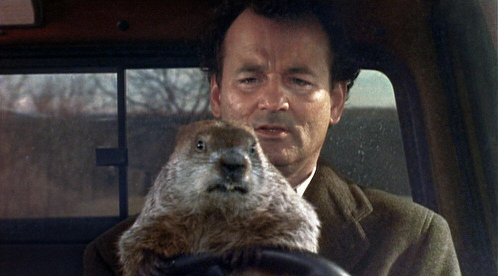 Is It Time To End Groundhog Day Vegan Wellness Animal Activism Animal Rights A Blog About Stuff Groundhog Day Movie Bill Murray