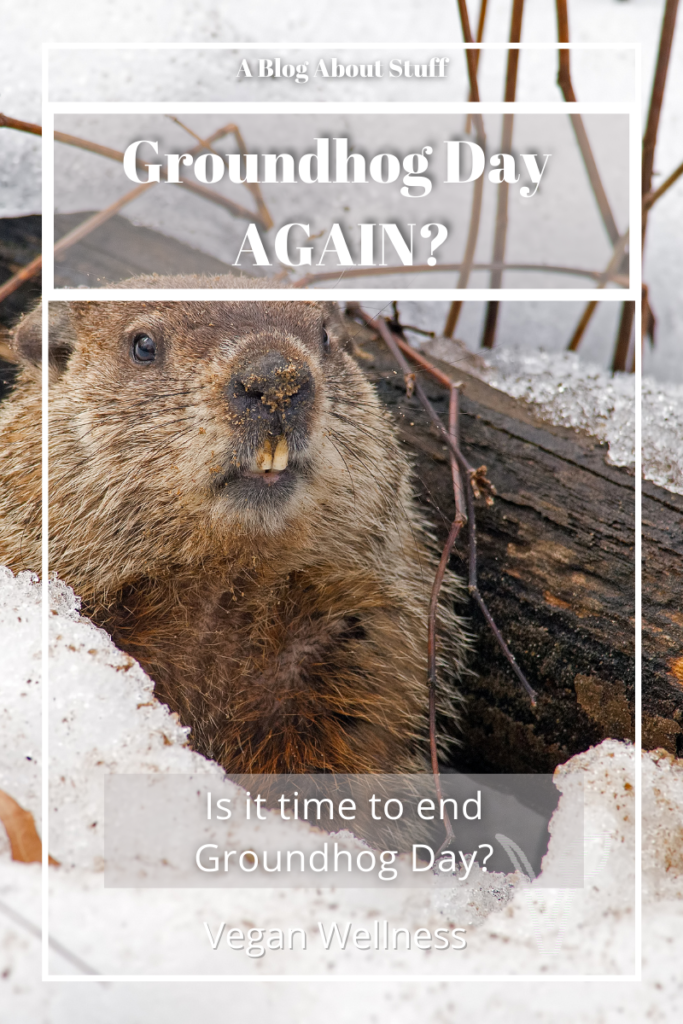 Is It Time To End Groundhog Day Vegan Wellness Animal Activism Animal Rights A Blog About Stuff Pin 5