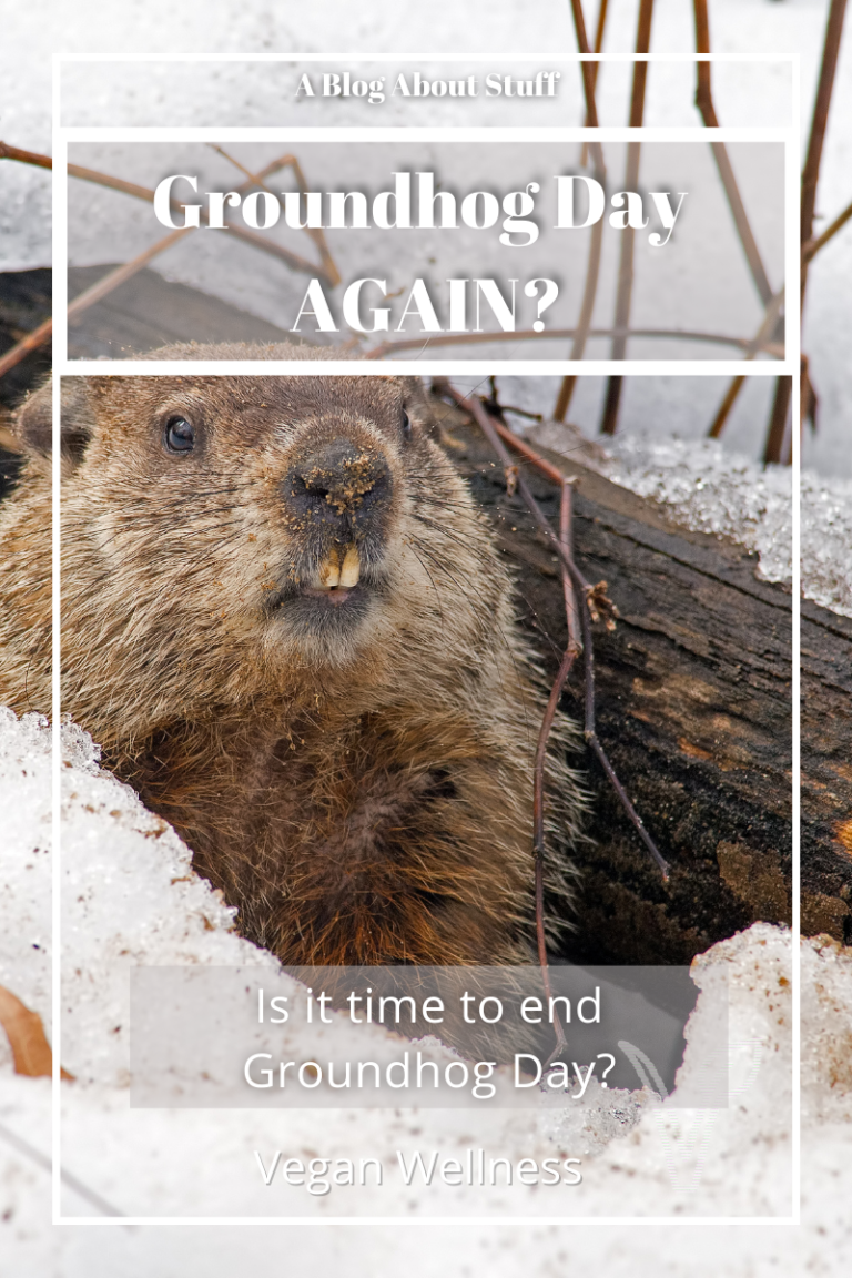 Is It Time To Let Go Of Groundhog Day? | A Blog About Stuff