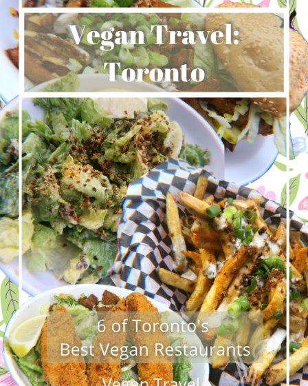 Vegan Travel Toronto 6 Best Vegan Restaurants A Blog About Stuff Pin 5