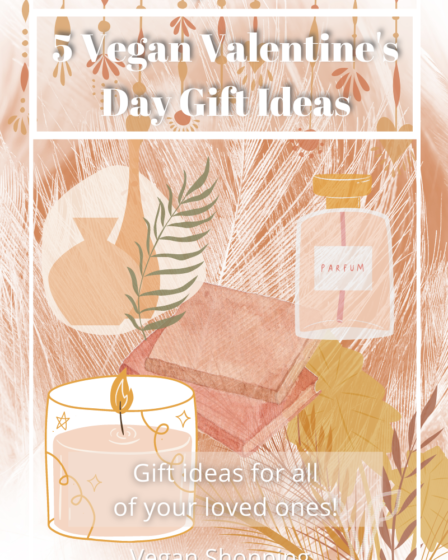 5 Vegan Valentine's Day Gift Ideas A Blog About Stuff Pin 10