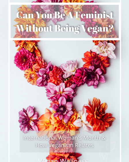 Can You Be A Feminist Without Being A Vegan? A Blog About Stuff Pin 2