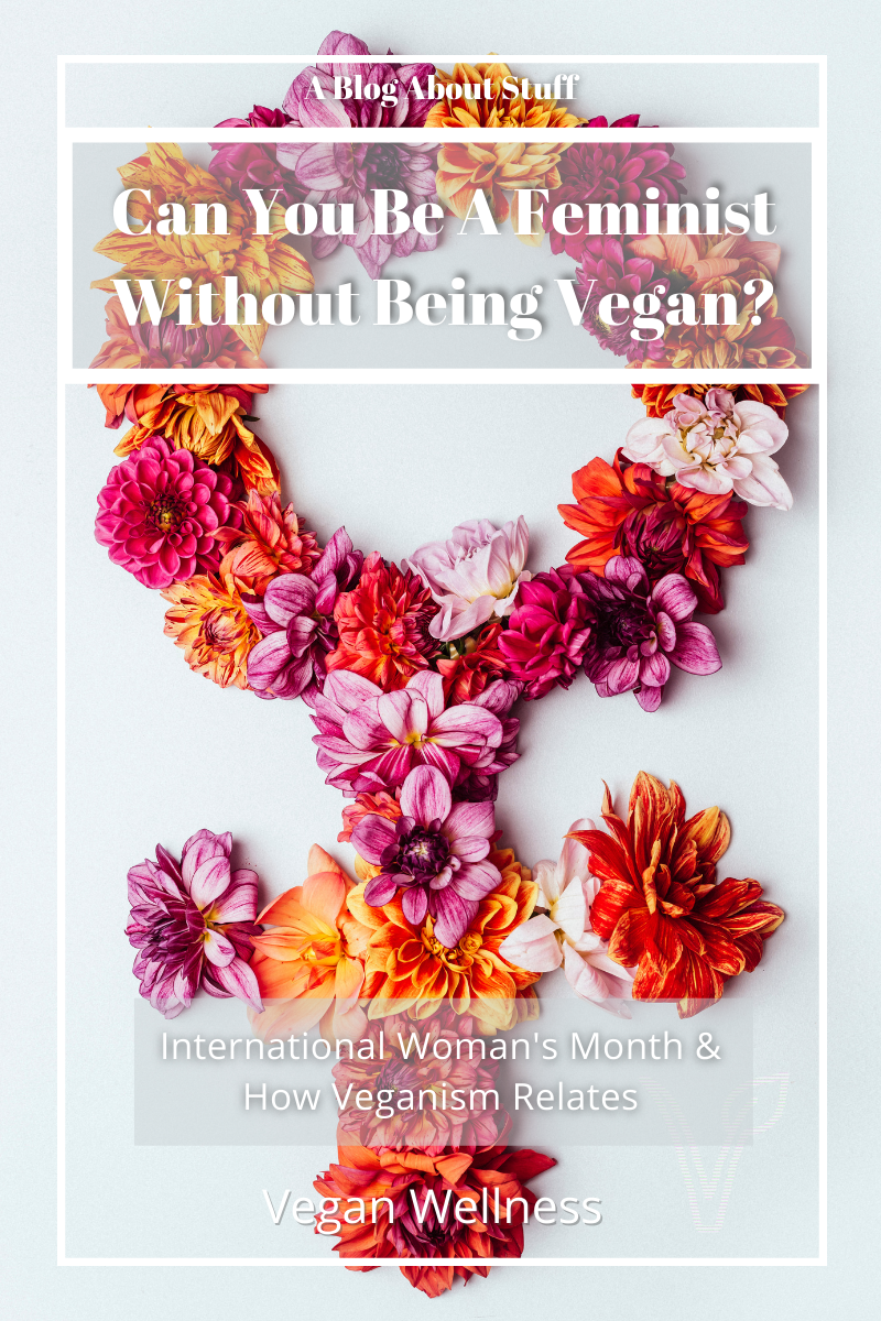 Can You Be A Feminist Without Being A Vegan? A Blog About Stuff Pin 2