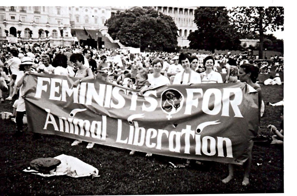 Feminists for animal liberation veganism and feminism are related a blog about stuff