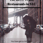 Vegan Travel – The Best Vegan Restaurants in New York City