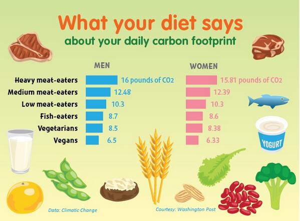 Veganism isn't a Diet Vegan for the Environment Vegan Wellness A Blog About Stuff