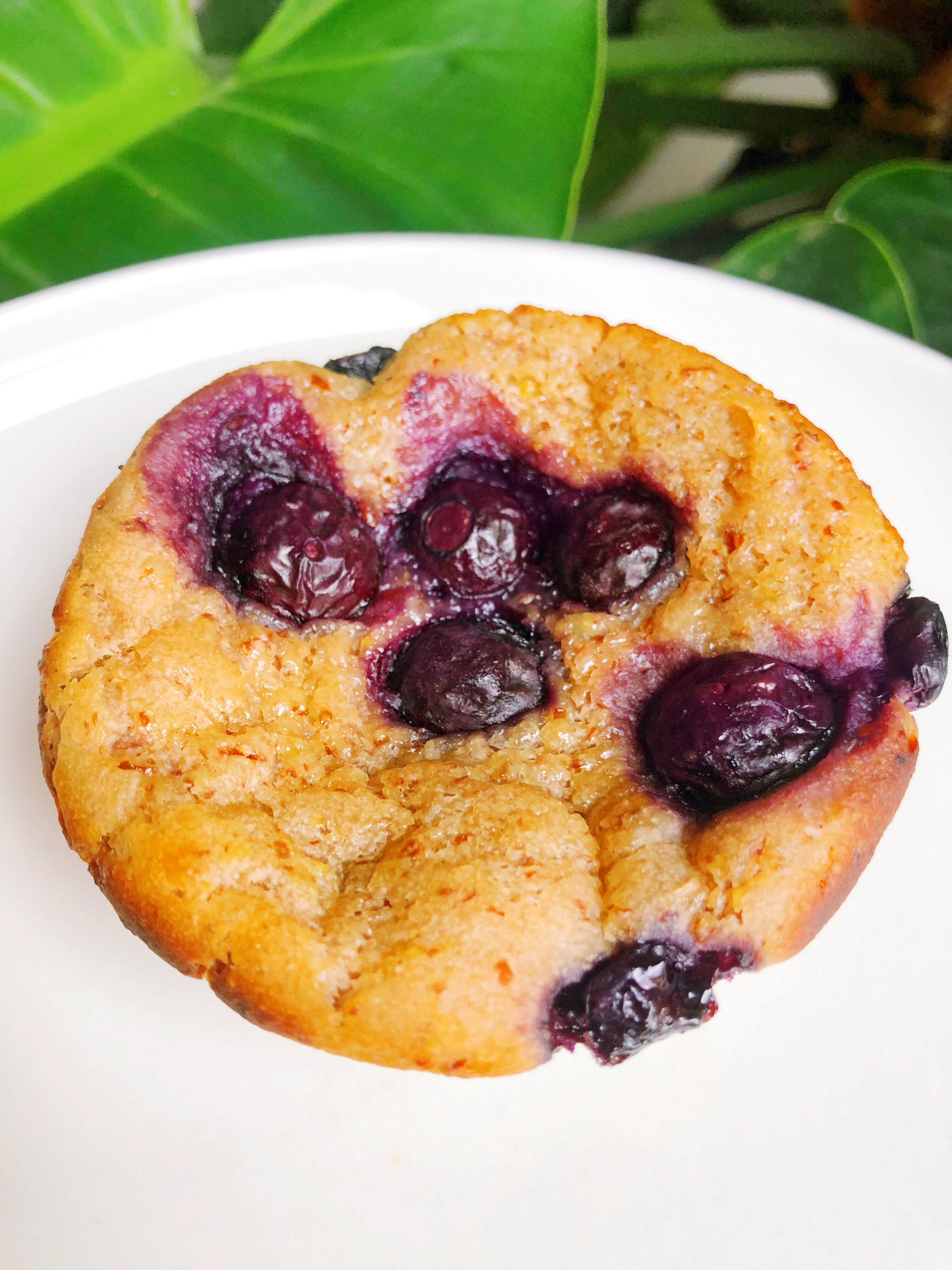 Vegan Blueberry Muffins Recipe Gluten Free Easy Vegan A Blog About Stuff 1