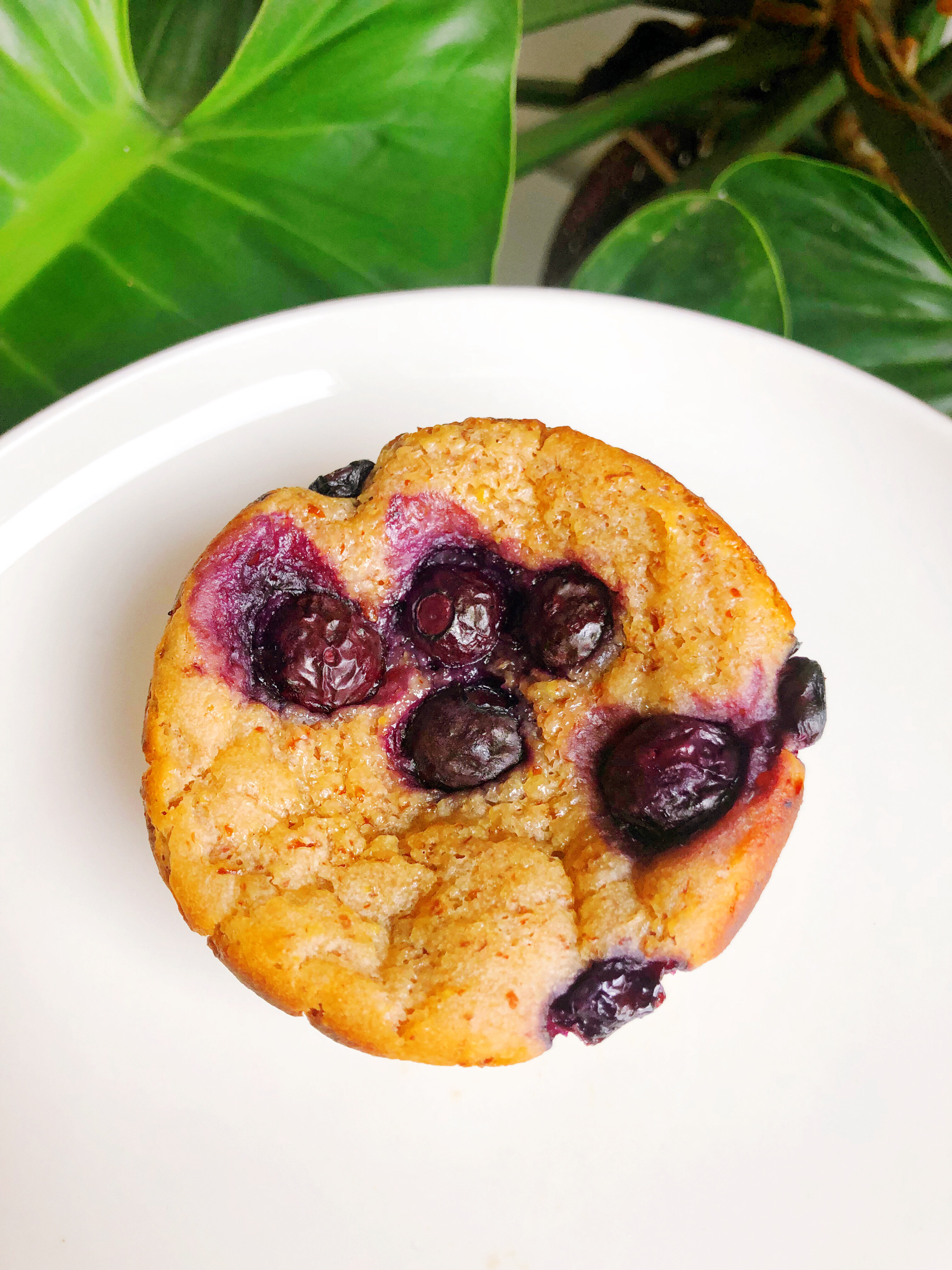 Vegan Blueberry Muffins Recipe Gluten Free Easy Vegan A Blog About Stuff 2