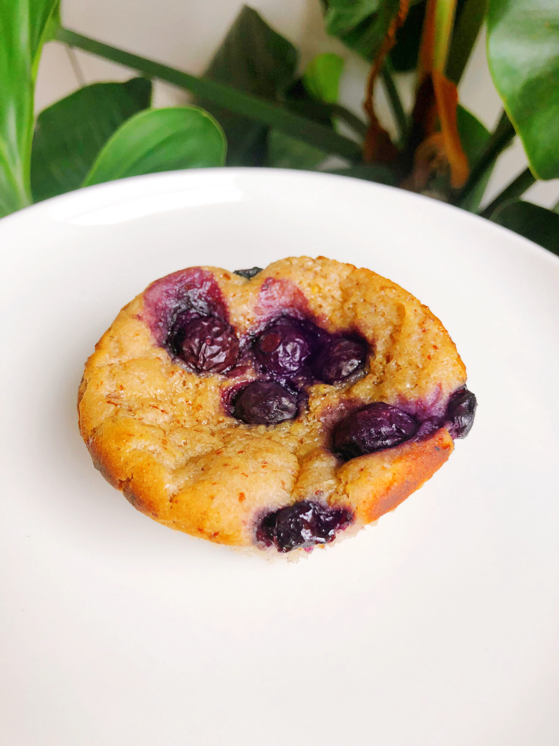 How To Make Easy Moist Vegan Blueberry Muffins