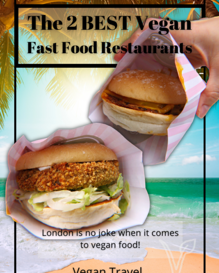 2 Best Vegan Fast Food Restaurants In London A Blog About Stuff Pin 1
